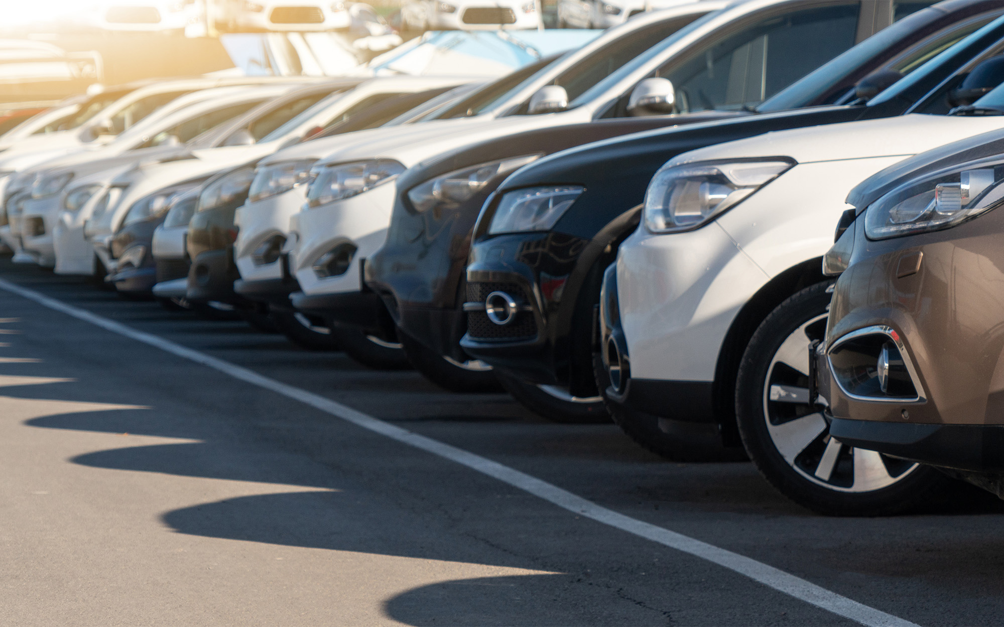Cars in a row. Used car sales