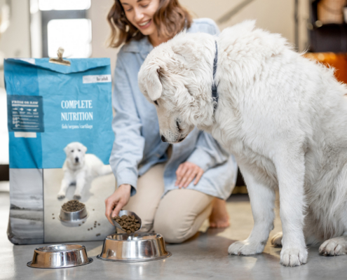 Woman feeds a dog with dry food at home